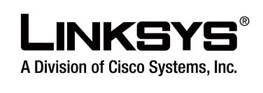Service récupération données serveur NAS Linksys