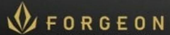 Forgeon Ssd Forgeon