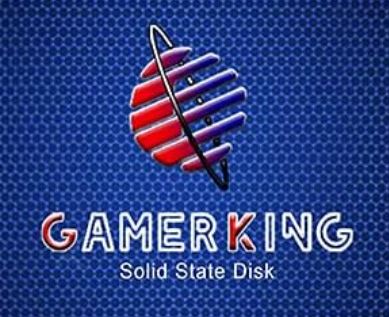 Gamerking Ssd Gamerking