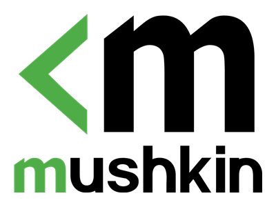 Mushkin Ssd Mushkin