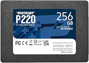 Patriot Ssd Patriot P220